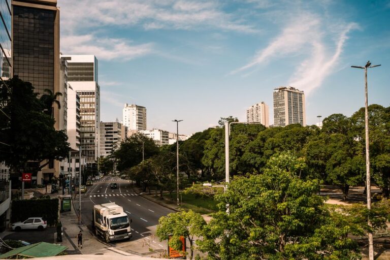 Brasil autossuficiente: além da briga de gigantes